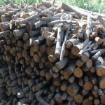 کشف انواع چوب قاچاق در شهرستان بهار