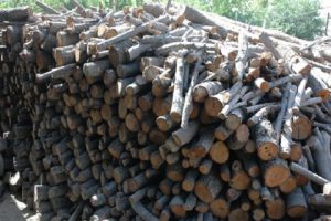 کشف انواع چوب قاچاق در شهرستان بهار