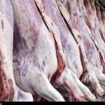 عرضه گوشت دولتی به زودی در همدان آغاز می‌شود