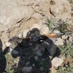 شکارچیان غیر مجاز در تویسرکان دستگیر شدند
