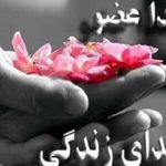 رزمنده دوران دفاع مقدس به ۱۱ نفر حیات دوباره بخشید