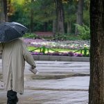 میزان بارش‌ها از سال گذشته کمتر است