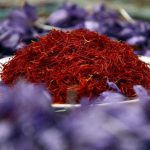 برداشت ۲۳۰ کیلوگرم زعفران از مزارع ملایر