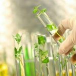 ارزیابی زیست محیطی برای ۹ طرح بزرگ همدان اجرا می شود