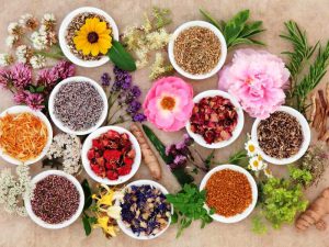 فعالان در طب سنتی ساماندهی می‌شوند