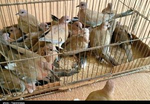گلایه مردم و کسبه از بوی نامطبوع بازارچه موقت انتهای خیابان فرات همدان