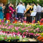 همدان میزبان چهاردهمین نمایشگاه گل و گیاه