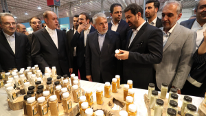 افتتاح نمایشگاه گردشگری سلامت در همدان