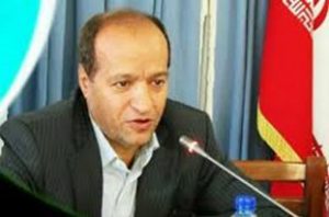 در بحث شفاف سازی مشکل داریم/ استیضاح و سوال در موقع مناسبی نبود