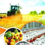 ابلاغ ۳۰۰ میلیارد تومان اعتبار در سال جاری/ سیب‌زمینی و سیر در اولویت برای جذب سرمایه‌گذار خارجی