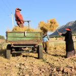 کندی «آهنگ حمل» صدای کشاورزان را درآورد