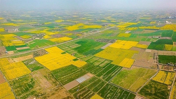 رفع تصرف ۲۰۰۰ متر مربع از اراضی ملی در تویسرکان رفع تصرف ۲۰۰۰ متر مربع از اراضی ملی در تویسرکان